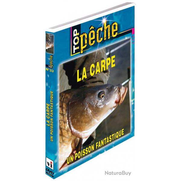 La carpe, un poisson fantastique - Pche de la carpe - Top Pche