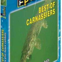 Best-of carnassiers : Les plus beaux combats - Pêche des carnassiers - Top Pêche