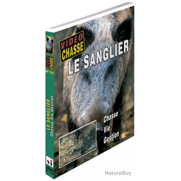 Le sanglier : chasse, vie, gestion - Chasse du grand gibier - Vido Chasse