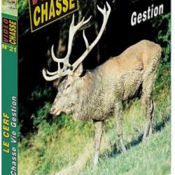Le cerf : chasse, vie, gestion - Chasse du grand gibier - Vidéo Chasse