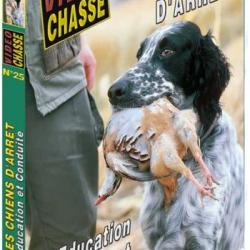 Les chiens d'arrêt : Education et conduite - Chiens de chasse - Vidéo Chasse