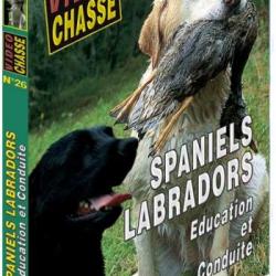 Spaniels & labradors : Education et conduite - Chiens de chasse - Vidéo Chasse