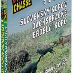 Slovensky kopov dachsbracke erdelyi kopo - Chiens de chasse - Vidéo Chasse