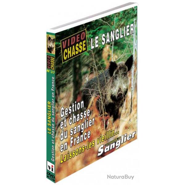Le sanglier : gestion et chasse du sanglier en France - Chasse du grand gibier - Vido Chasse