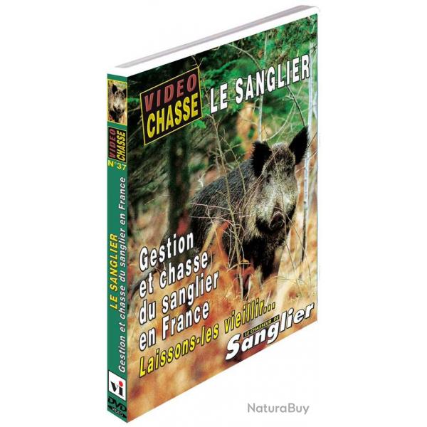 Le sanglier : gestion et chasse du sanglier en France - Chasse du grand gibier - Vido Chasse