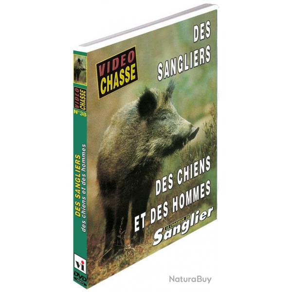 Des sangliers, des chiens, des hommes - Chasse du grand gibier - Vido Chasse