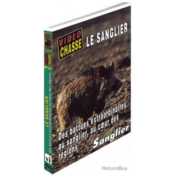Le Sanglier : Des battues extraordinaires au sanglier - Chasse du grand gibier - Vido Chasse
