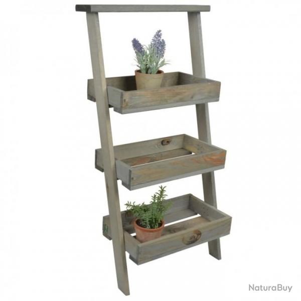 chelle  plantes incline 428865