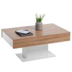 Table basse Chêne antique et blanc 428687