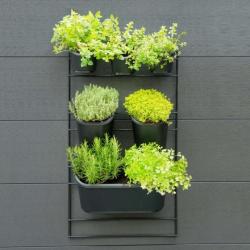 Kit mural de jardin vertical 434650