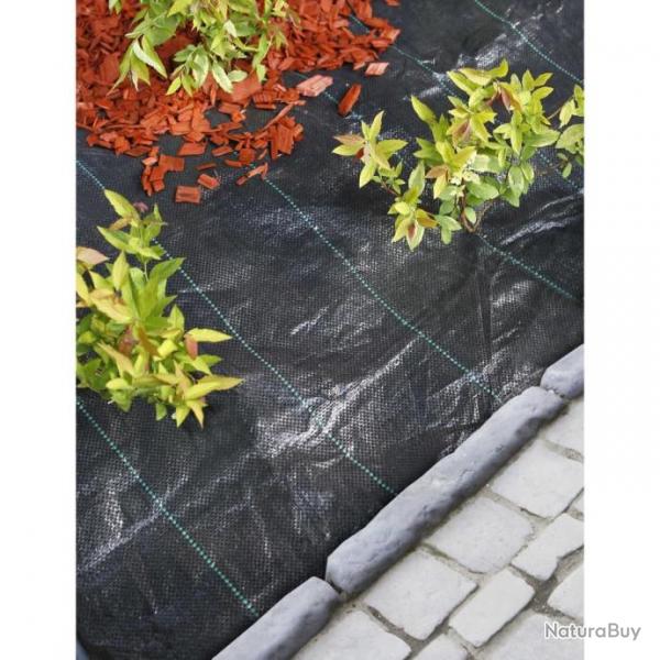 Bche de sol de contrle des mauvaises herbes 2x10 m Noir 434647