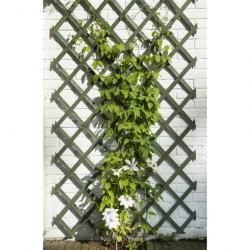 Trellis de jardin 50 x 150 cm Bois Vert 419737