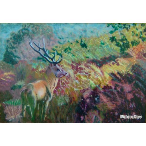 Tableau-photo Cerf. Format 40x60 cm. Support composite aluminium -Dibond paisseur 3 cm