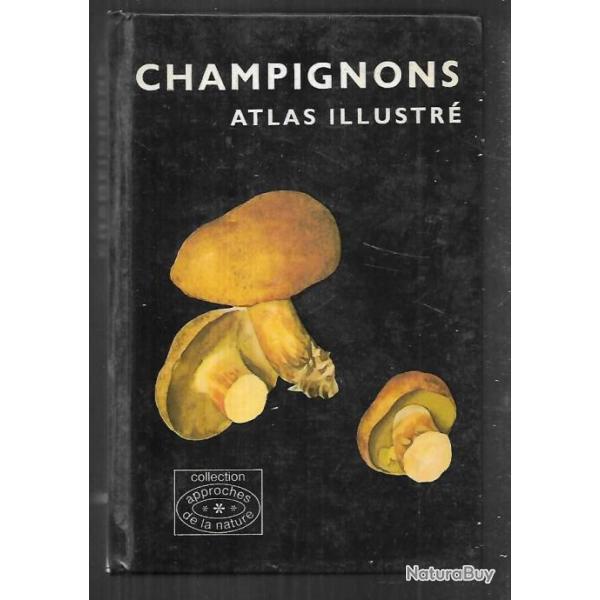 champignons atlas illustr grund