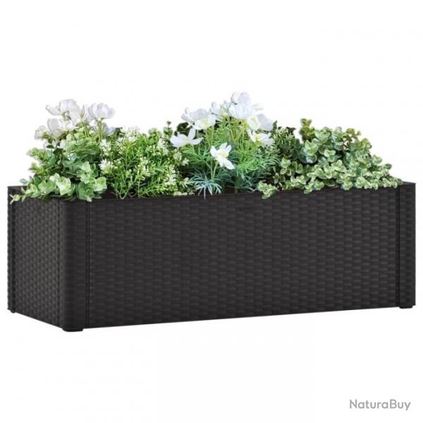 Lit surlev de jardin systme arrosage Anthracite 100x43x33 cm