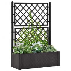 Lit surélevé de jardin treillis système d'arrosage Anthracite 313969