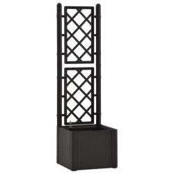 Lit surélevé de jardin treillis système d'arrosage Anthracite 313965