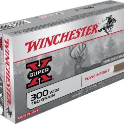 Winchester .300 WSM Power-Point 180 gr Boîte de 20