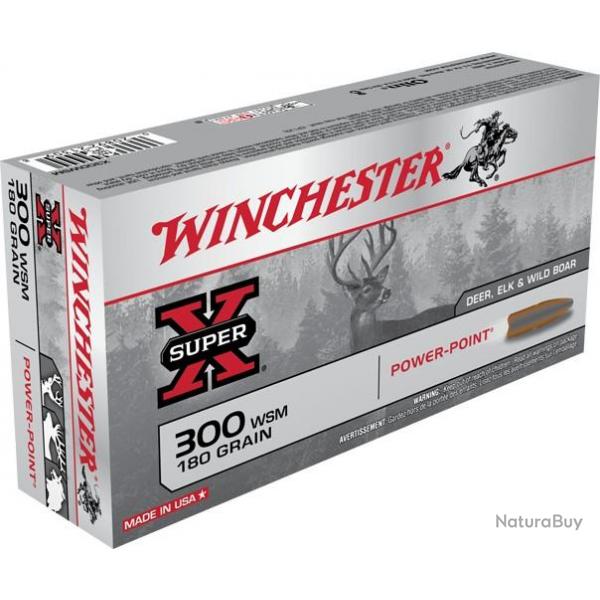 Winchester .300 WSM Power-Point 180 gr Bote de 20