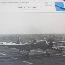 FICHE  AVIATION  TYPE  DE RECONNAISSANCE ET D OBSERVATION   / SHORT STURGEON  G BRETAGNE