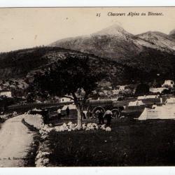 CPA - MILITAIRE Chasseurs Alpins au bivouac  N°519