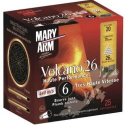 BTE 25 CART. PLOMB NICKELÉ MARY ARM VOLCANO CAL. 20 / 70 MM N° 6 26G BJ