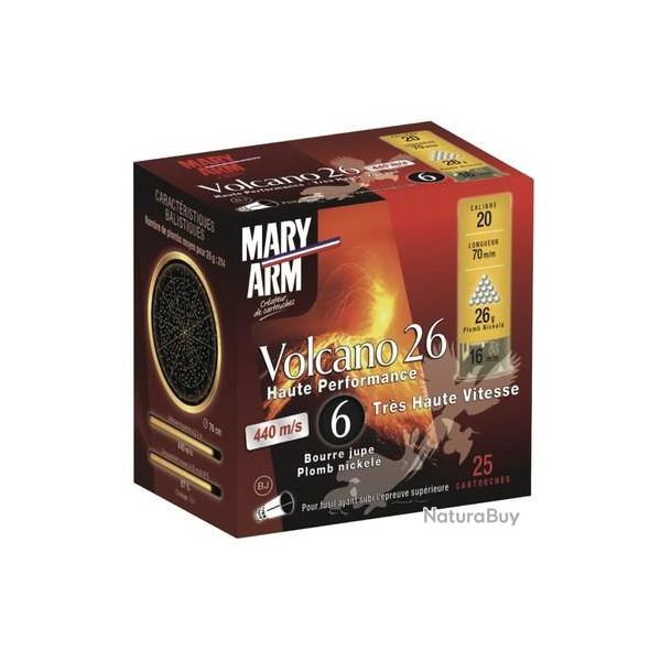 BTE 25 CART. PLOMB NICKEL MARY ARM VOLCANO CAL. 20 / 70 MM N 6 26G BJ