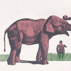 Antonio SEGUI lithographie originale signée - L'Eléphant