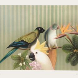 Arnaud D'HAUTERIVES - lithographie originale signée - Les Oiseaux perroquets