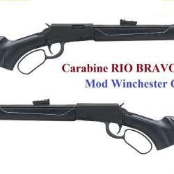 Carabine  Rossi Rio Bravo synthetique  Cal 22 Lr  à levier sous garde