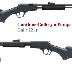 Carabine  Rossi  Gallery  synthetique  Cal 22 Lr à Pompe