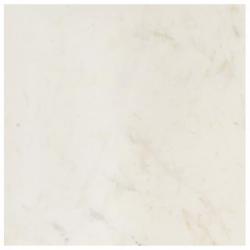 Table basse Blanc 60x60x35 cm Pierre véritable texture marbre 286439