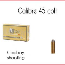 Munitions 45 COLT 250GR COWBOY