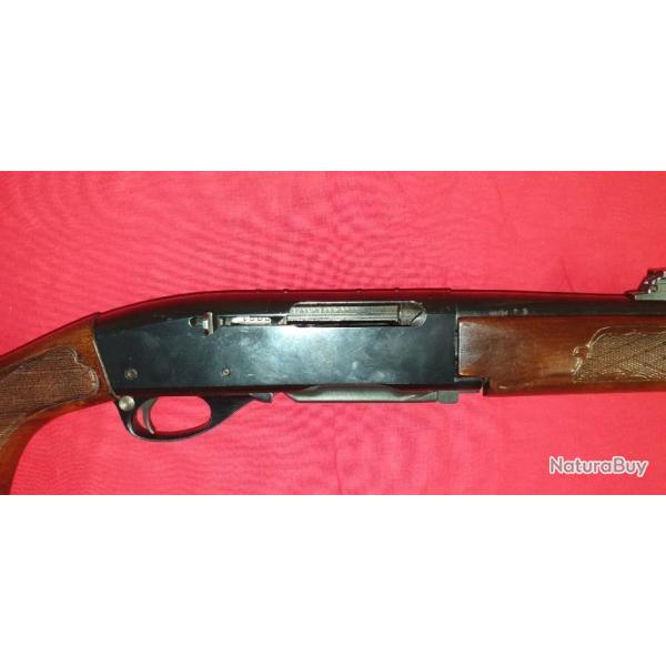 carabine Rmington 742.280R
