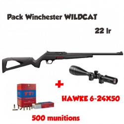 Pack tir Carabine semi-auto WINCHESTER WILDCAT 22LR canon 18" 