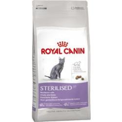 STERILISED 37 10KGS