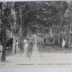 CPA Charente-Inférieure Royan Forêt de la Coubre La ligne du Tram