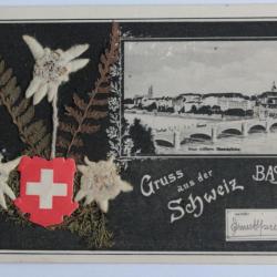 CPA Suisse Gruss aus der Schweiz Basel Edelweiss séchées