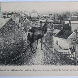 CPA Aisne Forêt Villers-Cotterêts Équipage Menier Cerf Chasse