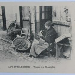 CPA Lot-et-Garonne Triage du Chasselas