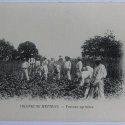 CPA Indre-et-Loire Colonie de Mettray Travaux agricoles