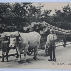 CPA Côte-d'Or Semur Attelage de boeufs