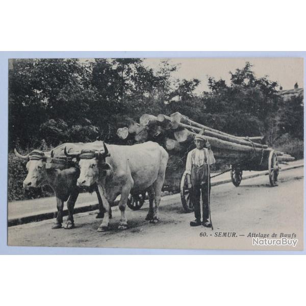 CPA Cte-d'Or Semur Attelage de boeufs
