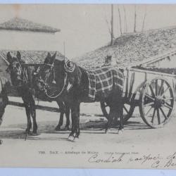 CPA Landes Dax Attelage de Mules