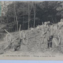 CPA Les Forêts du Morvan Abatage et transport des bois