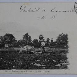 CPA Indochine Labourage d'une rizière Laos