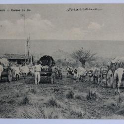 CPA Brésil Sao Paulo Carros de Boi Charrettes à boeufs Attelage
