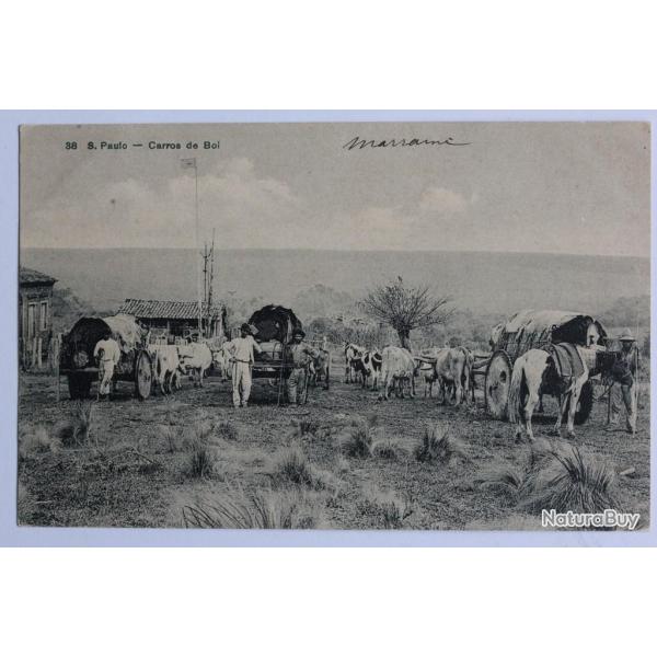 CPA Brsil Sao Paulo Carros de Boi Charrettes  boeufs Attelage