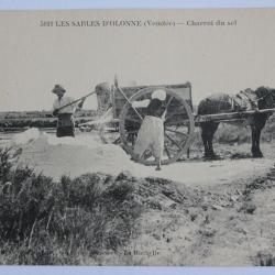 CPA Vendée Les Sables d'Olonne Charroi du sel Attelage