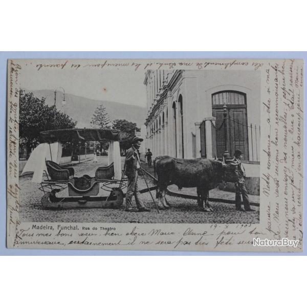 CPA Portugal Madeira Funchal Rua do Theatro Attelage de boeufs
